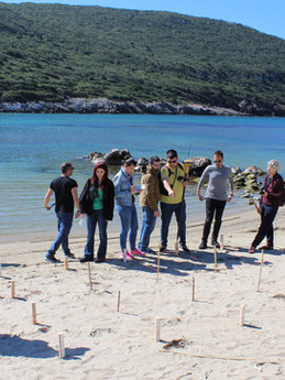 Fieldwork