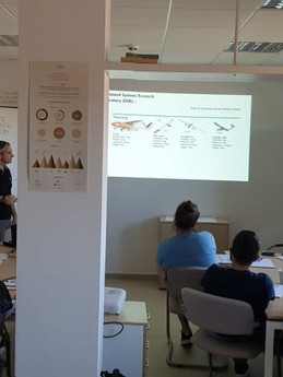 HAAR summer school at NEO