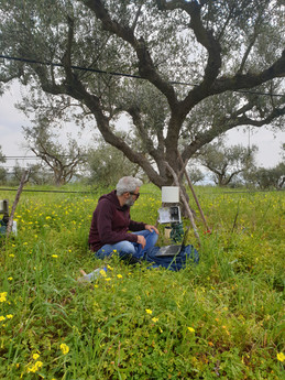 Fieldwork
