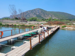 Masters’ course in Ecohydrology