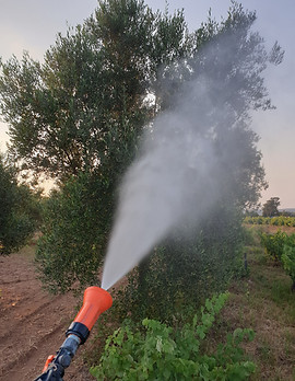 20190627_201550.jpg