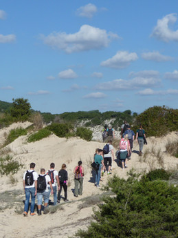 Fieldwork excursion
