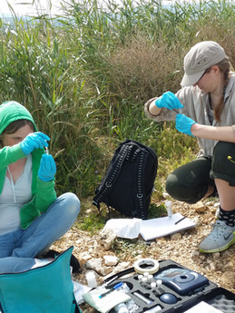 Fieldwork