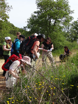 Fieldwork